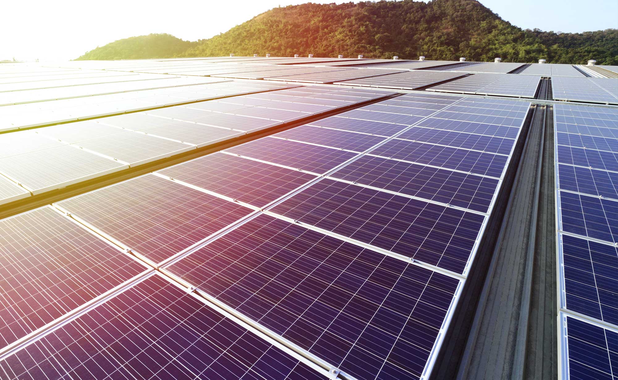 メガソーラー(大規模太陽光発電)の施工業者なら株式会社藤建 メガソーラー(大規模太陽光発電)の施工業者なら株式会社藤建